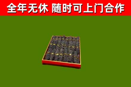 阳新县回收海参